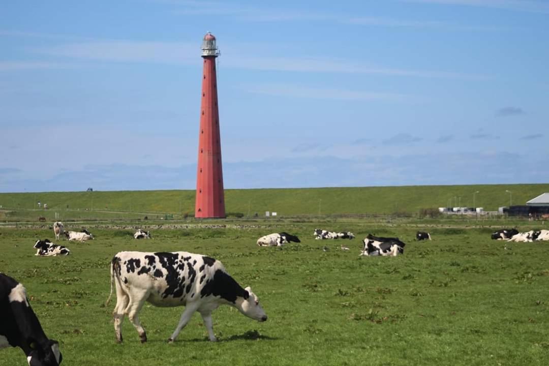 Overnachten Onder De Lange Jaap Den Helder Luaran gambar